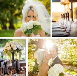 David L Baker Weddings